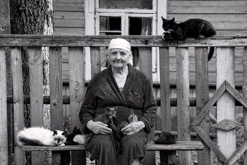 Портрет с кошками