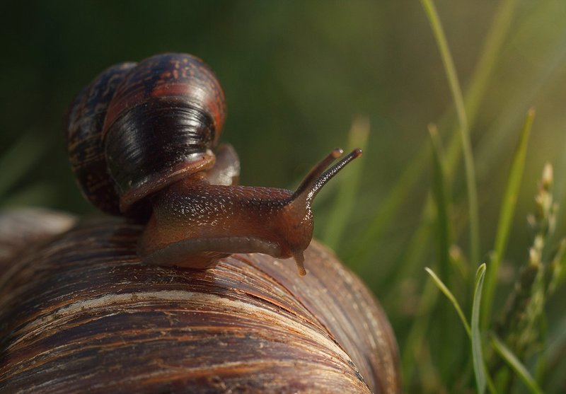 Битый небитого везет фото превью