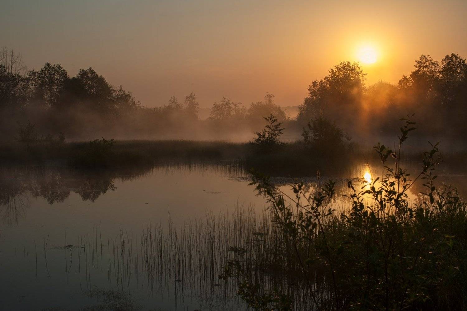 , Евгений Цветков