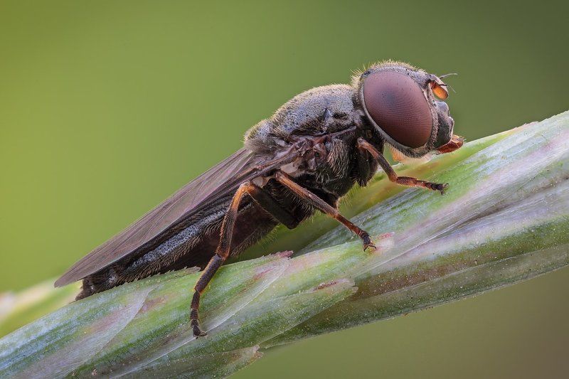 /*-+ фото превью