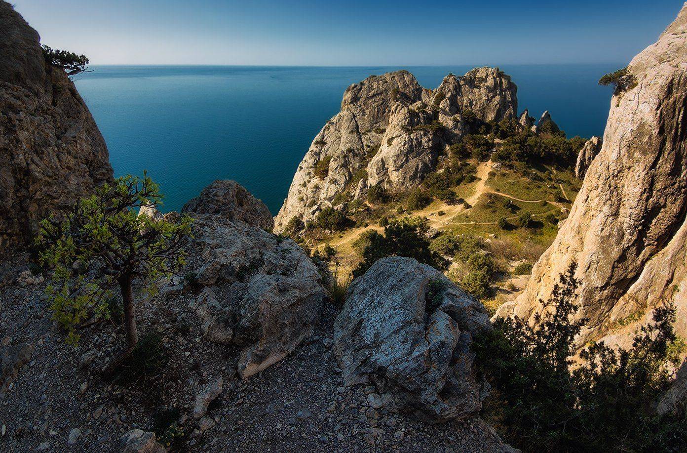 , Игорь Мелекесцев