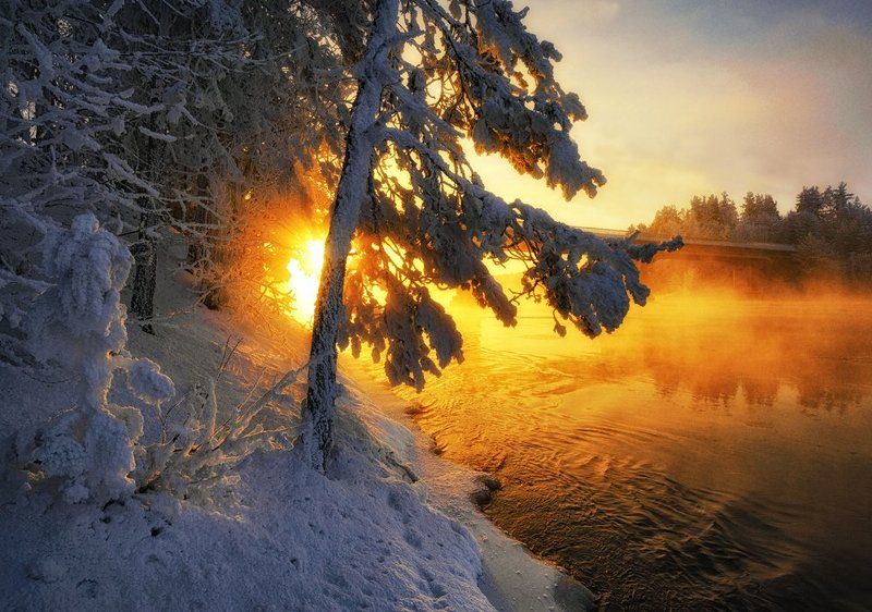 Морозного тумана зачерпну из золотой реки... фото превью