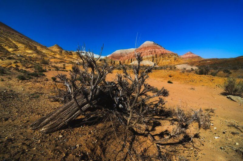 Автопутешествие по Юго-Восточному Казахстану или миссия на Марс - часть третья. ( Национальный парк Алтын Эмель, меловые горы Актау) фото превью
