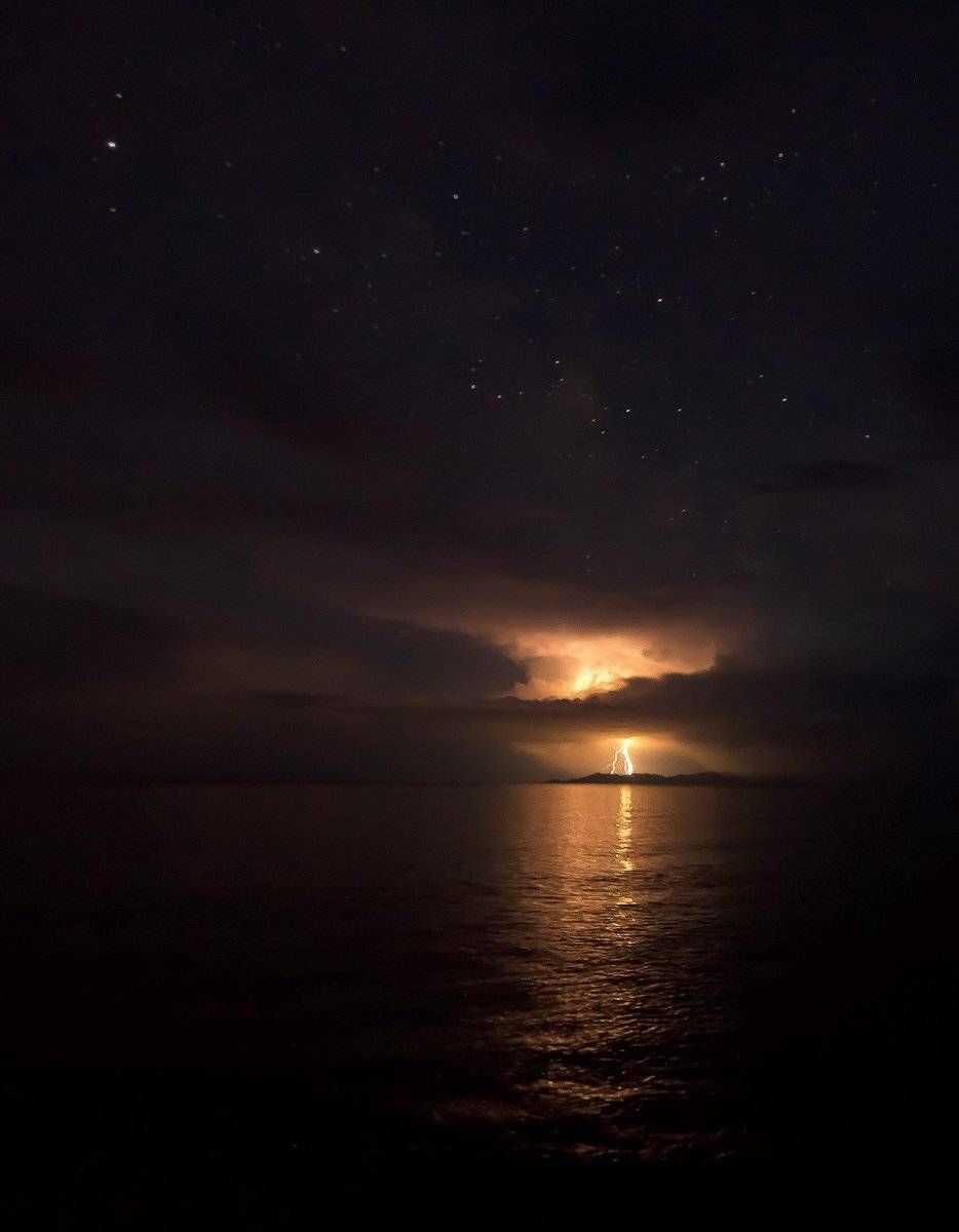 , Алексей Трофимов