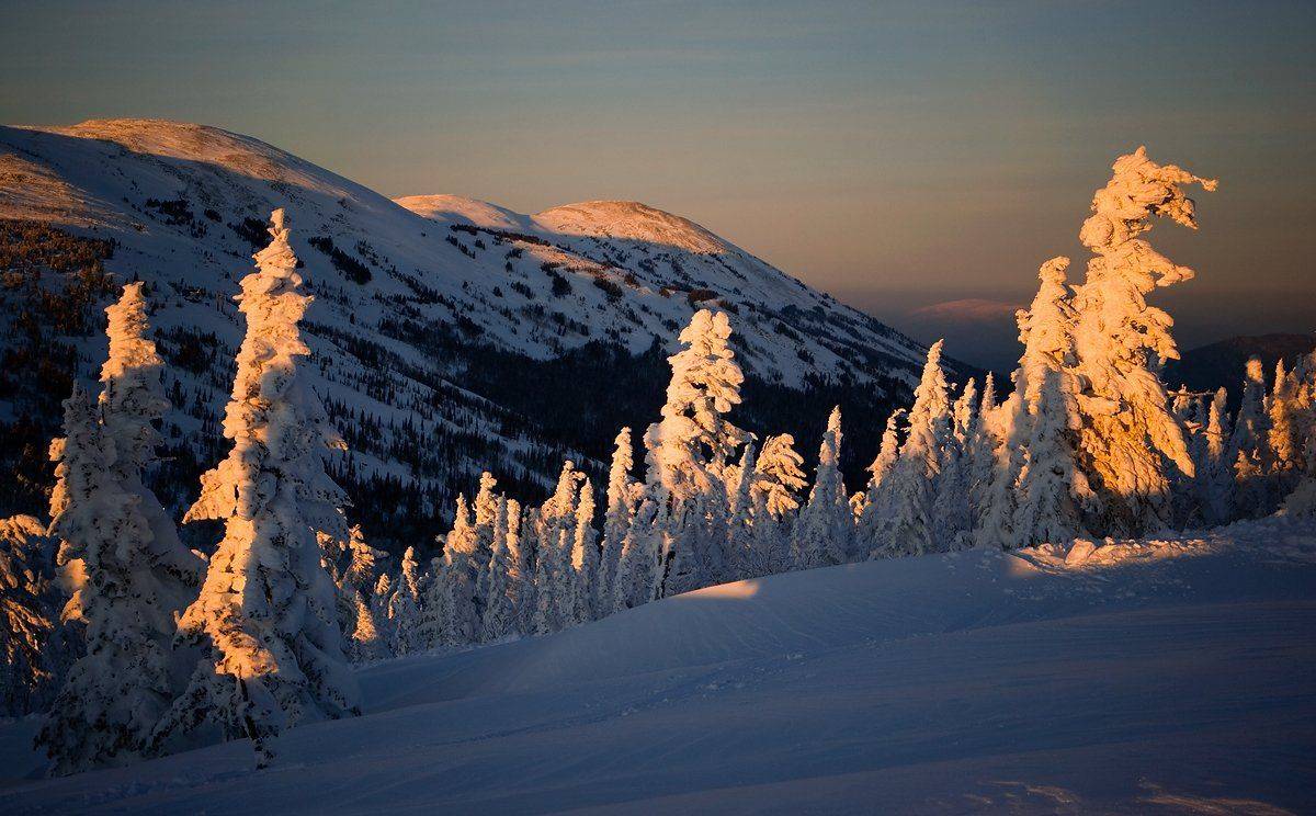 зима, вечер, мороз, прохлада, кедры, пихты, сугробы, шерегеш, горшая шория, Валерий Пешков