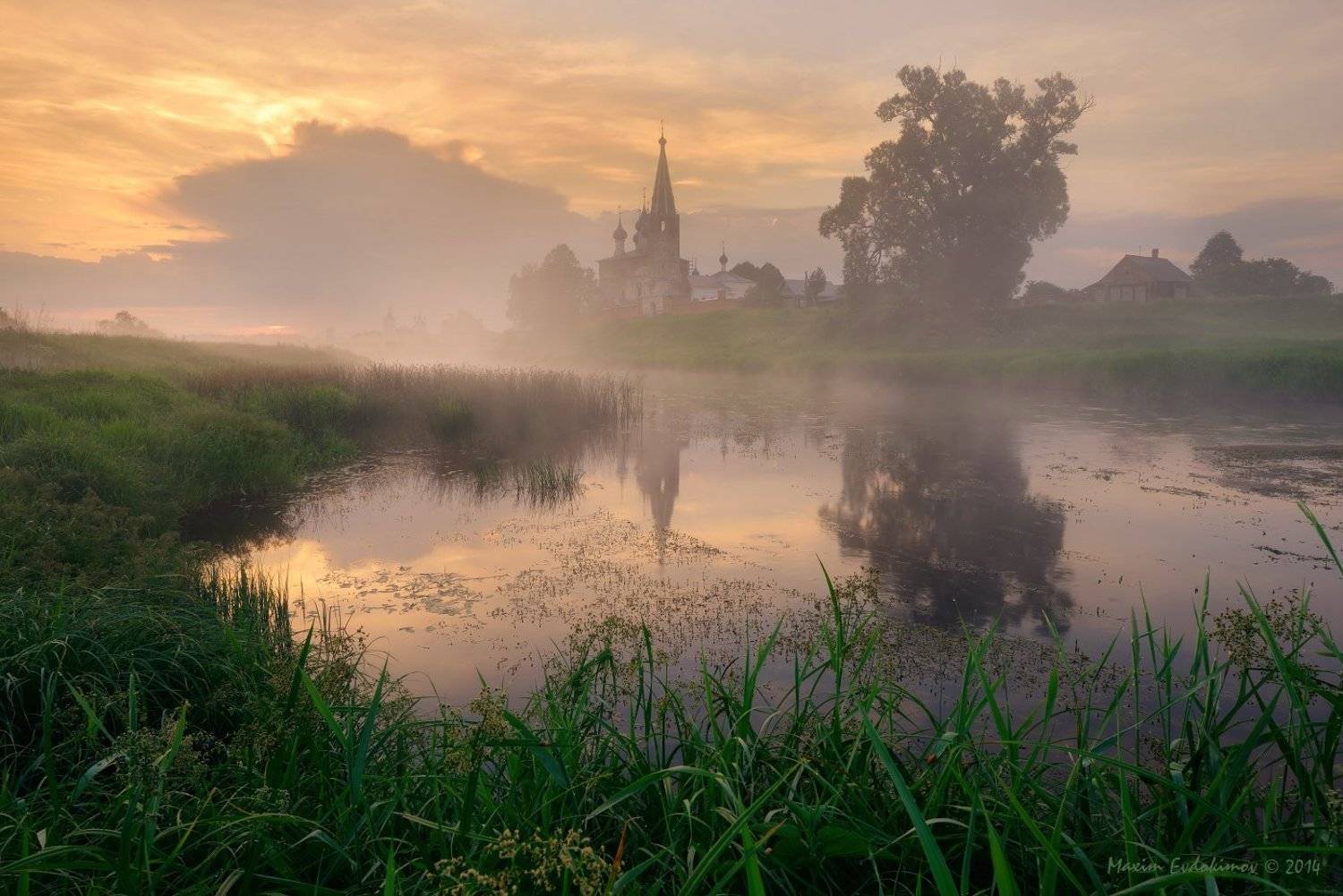 , Максим Евдокимов
