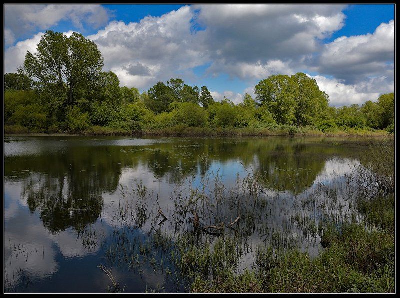 Старица... фото превью
