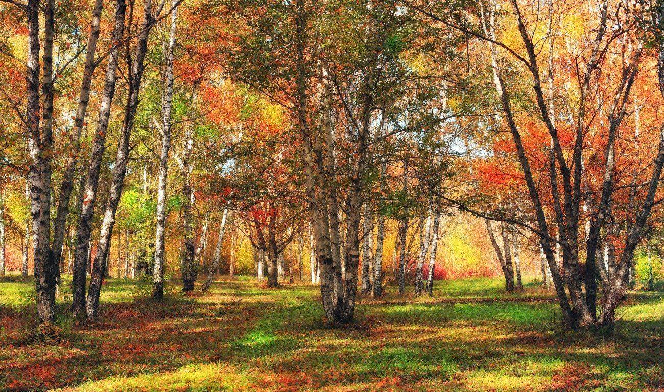 , Михаил  Пилипенко