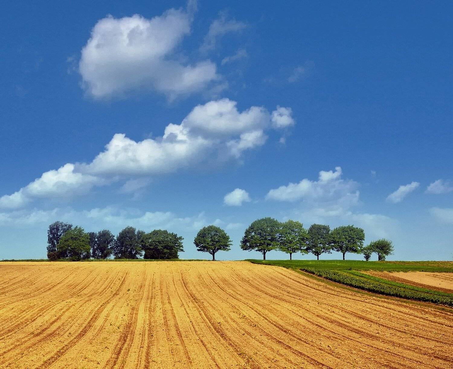 , Борис Алабугин