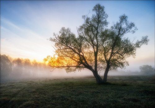 В погоне за туманом