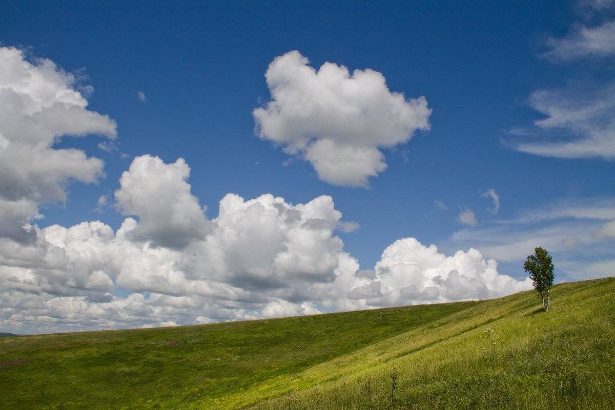 , Николай Морский