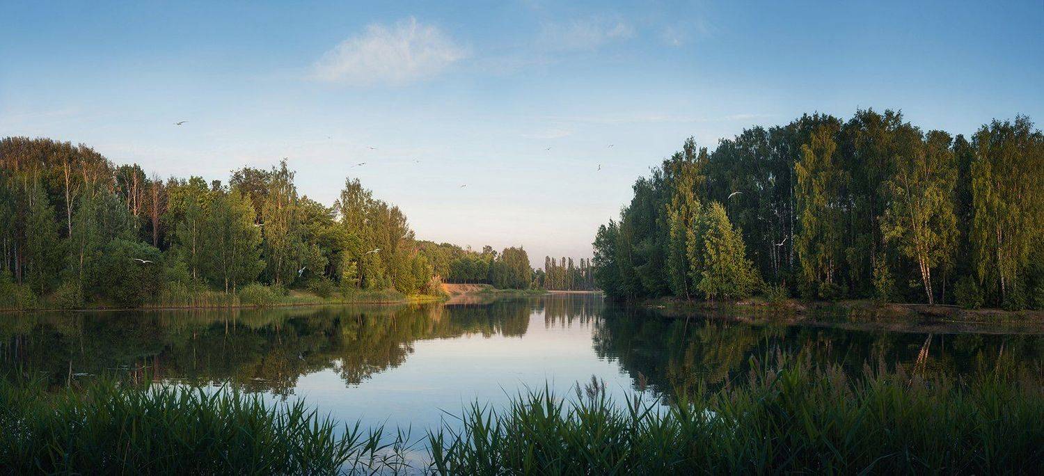 вечер, озеро, чайки, Сергей Хромов
