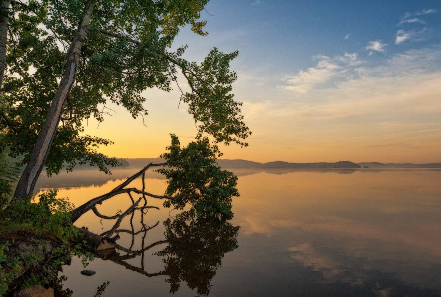 , Евгений Плетнев