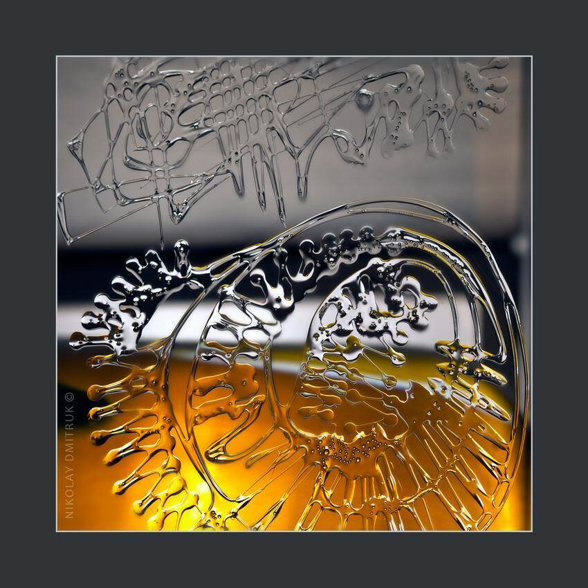 , николай дмитрук