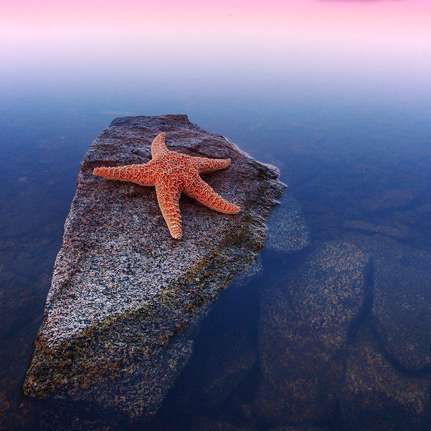 , Вадим Балакин