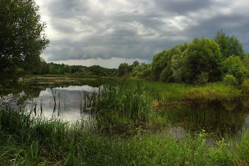 Грозовой фронт капризного лета