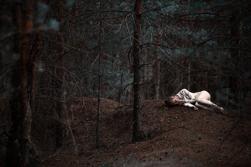 Лесная тема фото превью