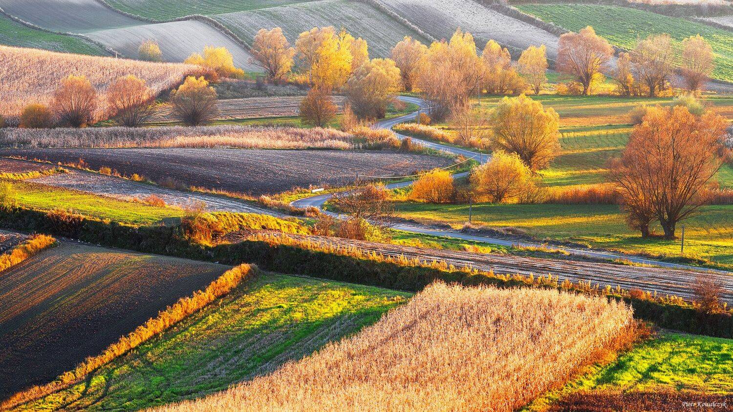 polska, ponidzie, jesień, pola, drzewa, droga, Kowalczyk Piotr