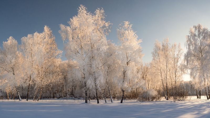 Зима пришла. Зиме дорогу! фото превью