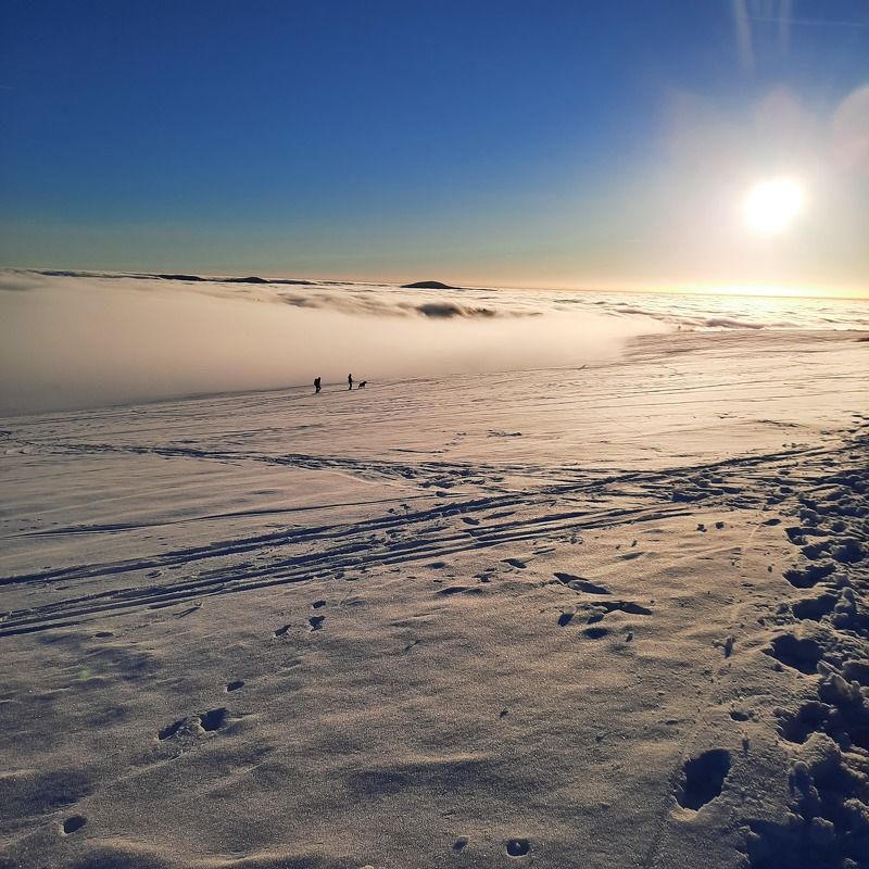 snow, winter, sky, ice, nature, landscape, cold, mountain, sea, white, water, clouds, view, frozen, cloud, ocean, aerial, travel, frost, snowy, outdoors, season, mountains, environment, weather sunset in the snow and fog on top of winter mountain Rhoen Rhön Hesse Germany фото превью