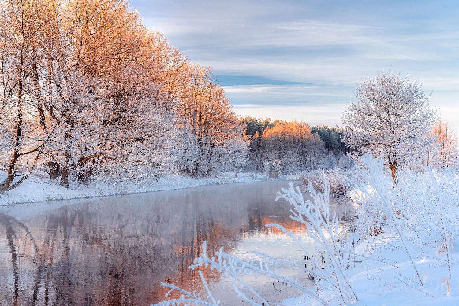 , Руслан Авдевич