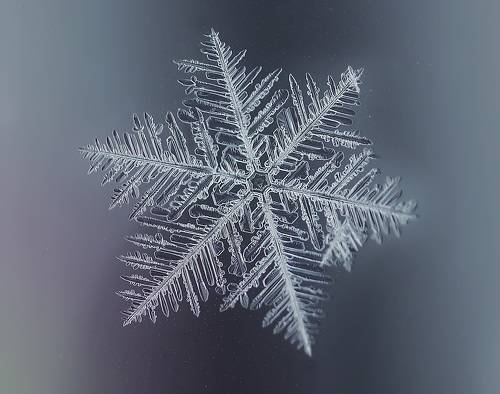 Снежинка  со знаком качества