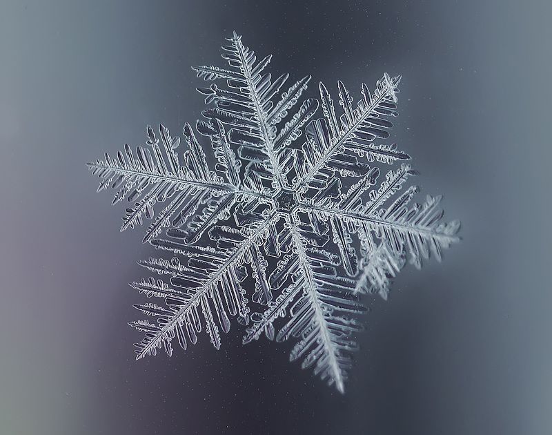 снежинка Снежинка  со знаком качества фото превью