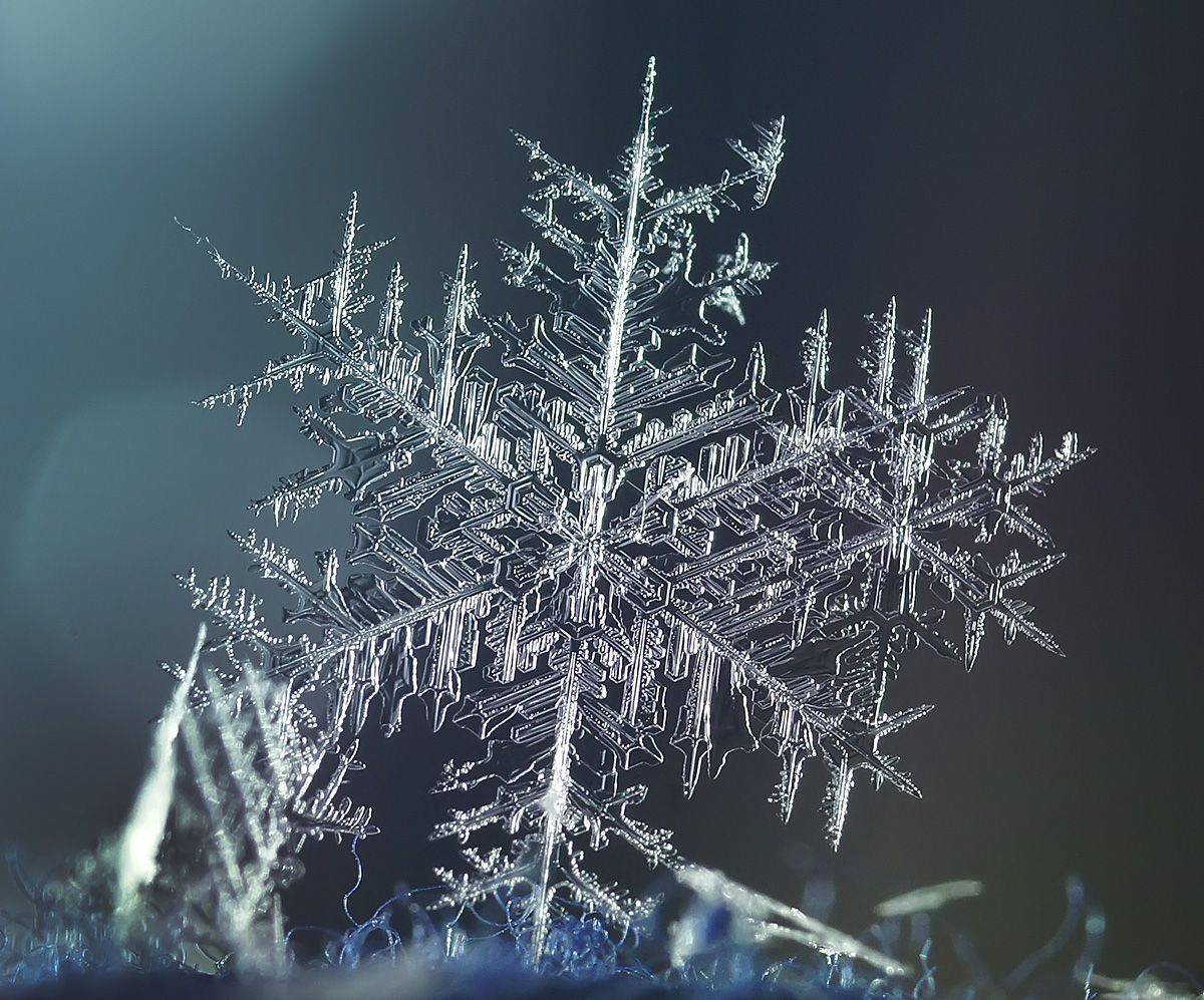 снежинка, Гарик Соколов