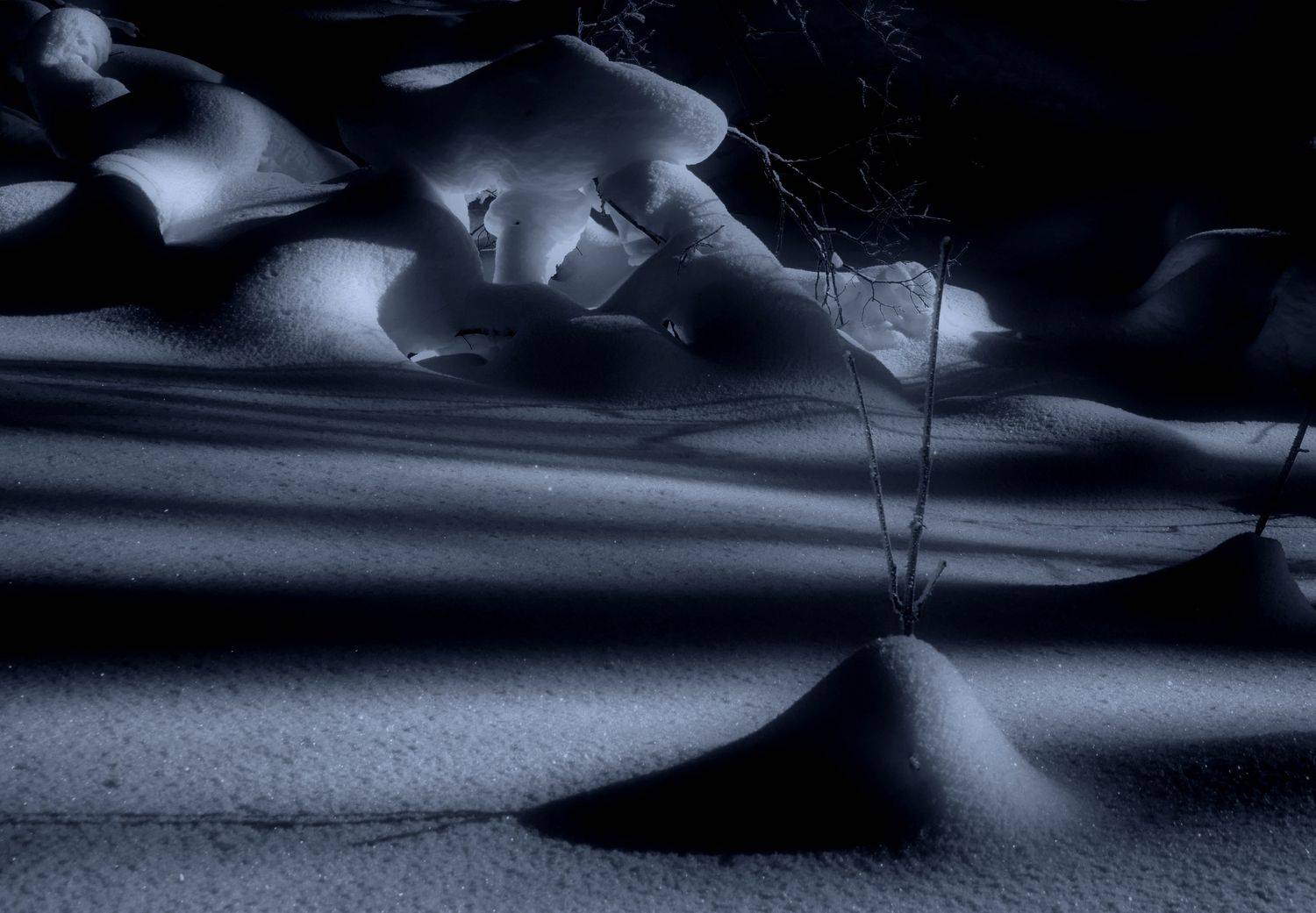 снег, Колесов Андрей