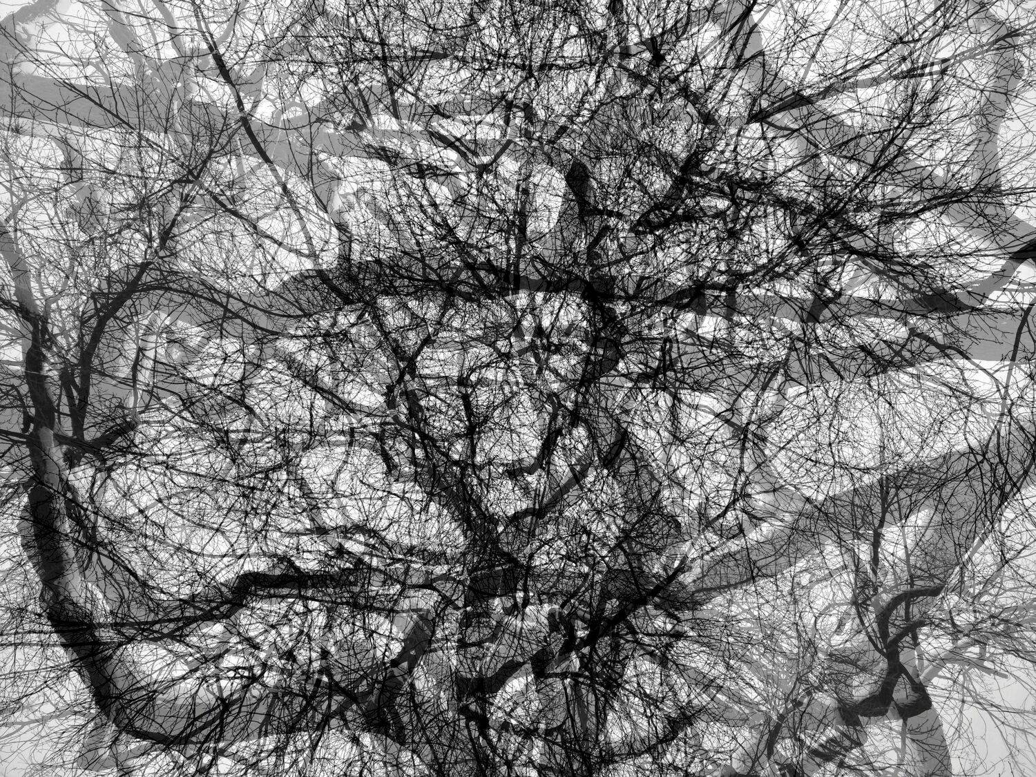 , Антон Лаба