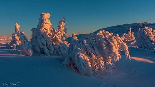 Pro жизнь наверху