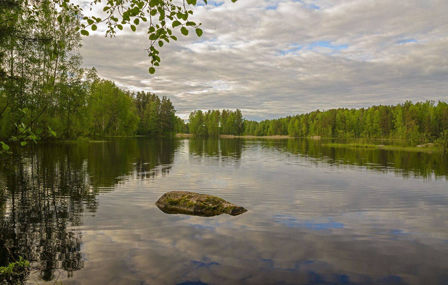 nevant60, пейзаж, красота, природа, Александр Березуцкий