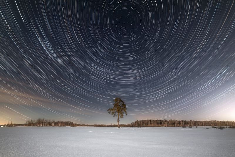 ночь звезды звездные треки ночное небо зима снег сосна лунный свет Звёздный танец над одинокой сосной фото превью