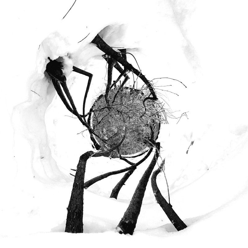 abstraction, b&w, snow, concept, абстракция, ч/б, концептуальное, что-то, something, оно. Something фото превью