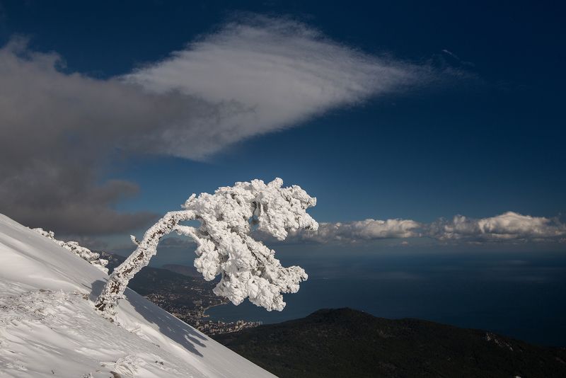 крым *** фото превью