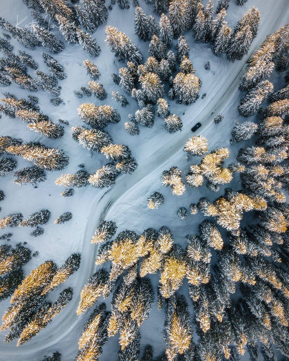 , Екатерина Ионенко