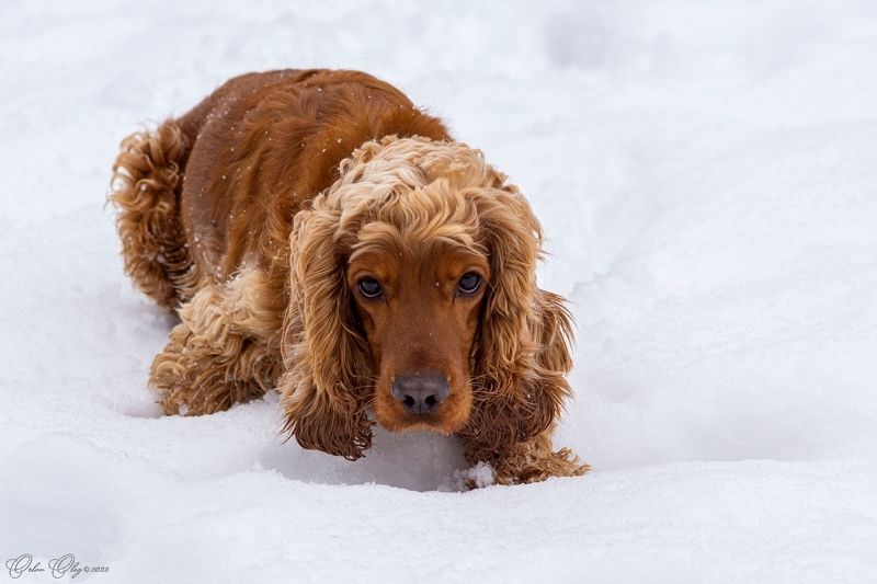 Кто ты? фото превью