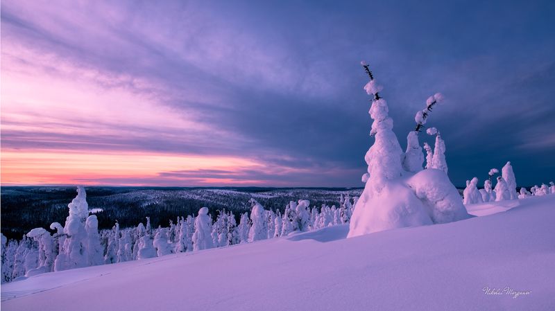 Безмолвие фото превью