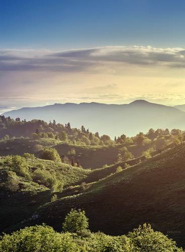 Ванильное утро