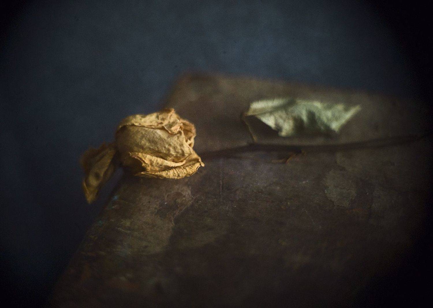 , Татьяна Аверина