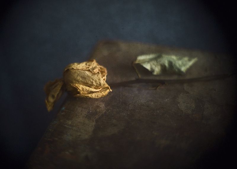 Нежная грусть... фото превью