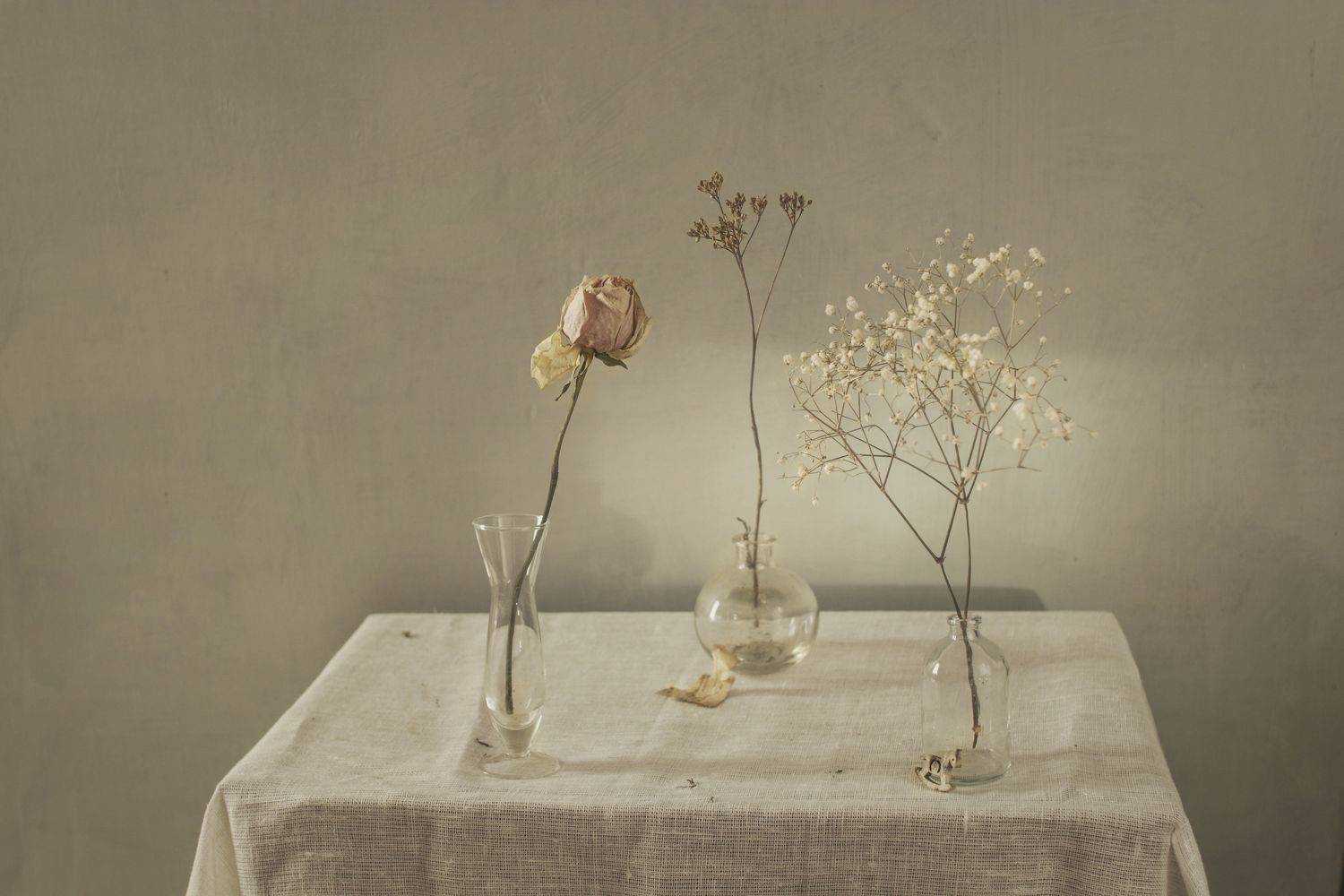 , Коршак Елена