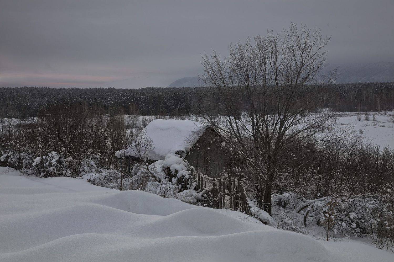 зима, Виктор Кириллов