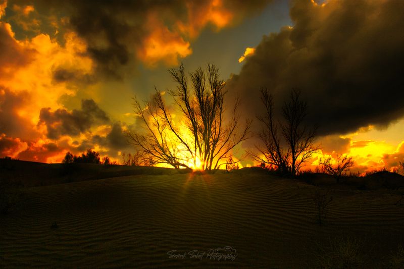 Golden Time фото превью