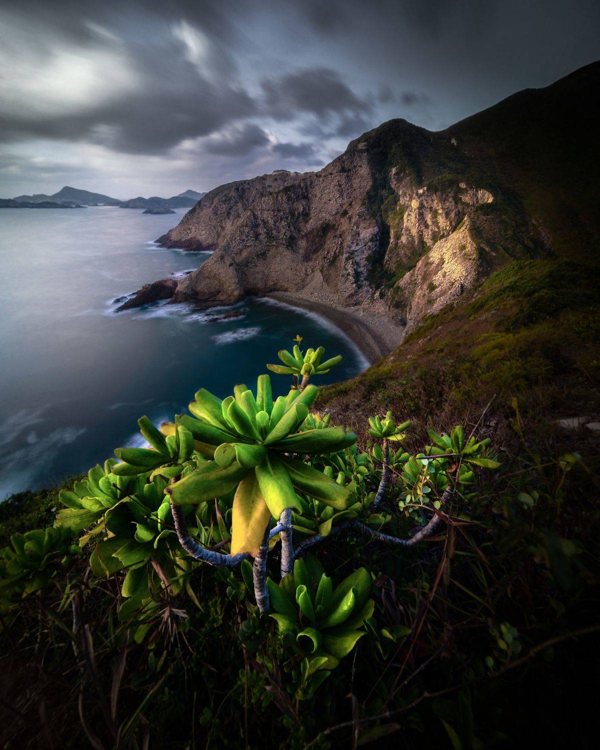 #landscape, #photography, #plant, #moody, #cloud, #hongkong, #geopark, Tse Hugo