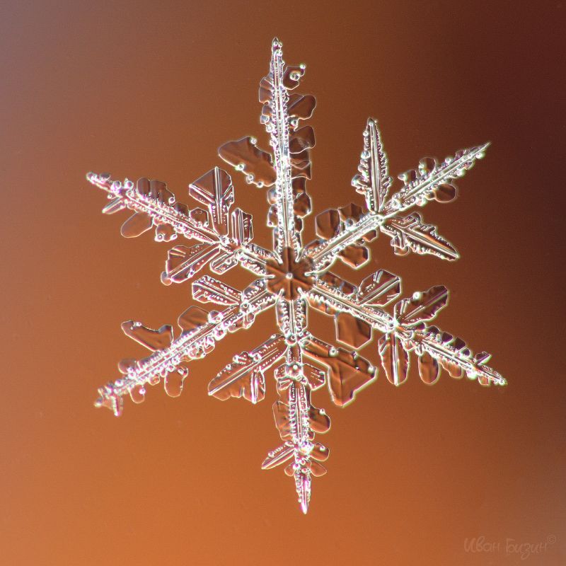 снег, снежинки, зима, мороз, супермакро Снежинки фото превью