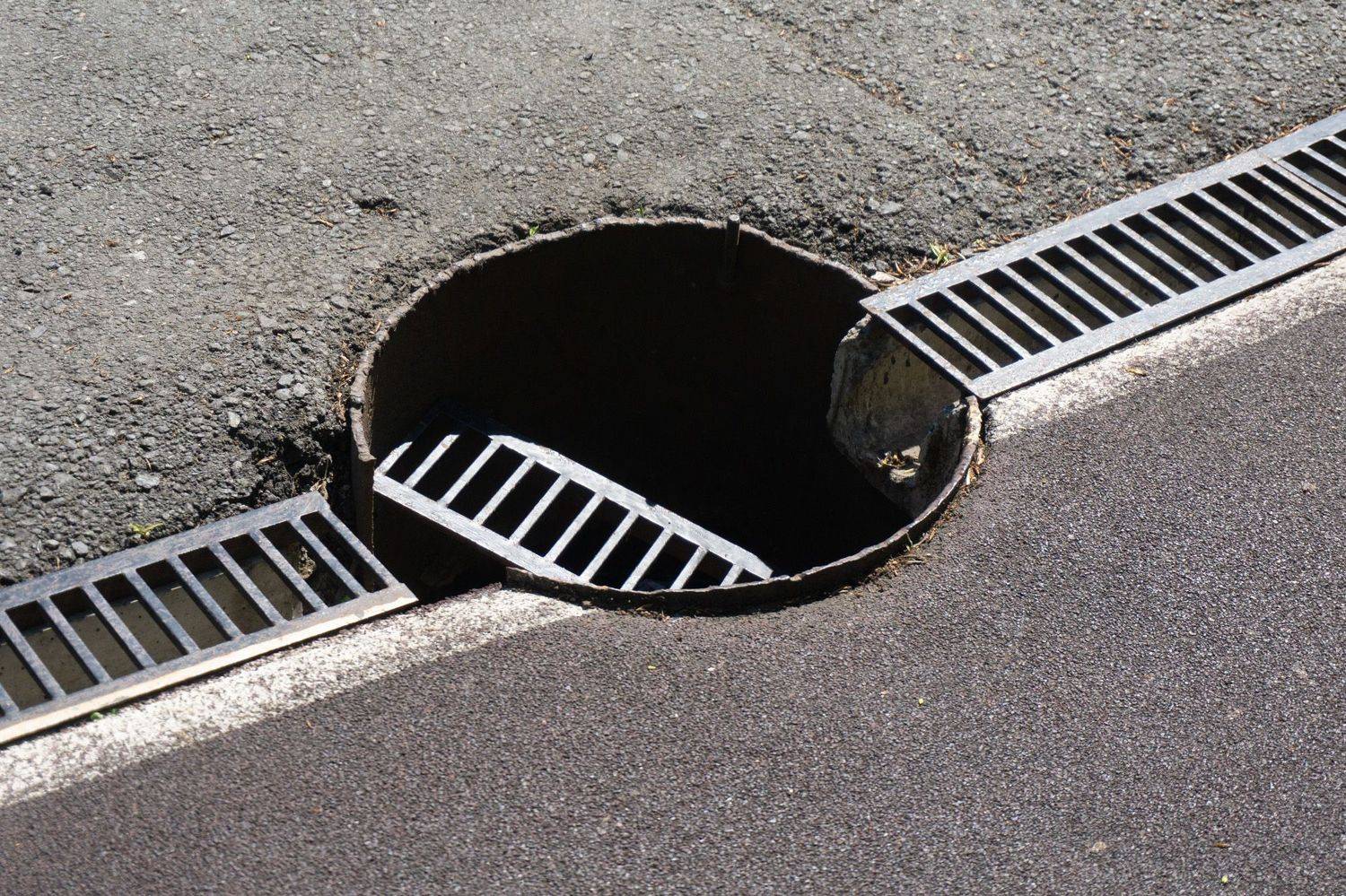 , Ольга Таланцева