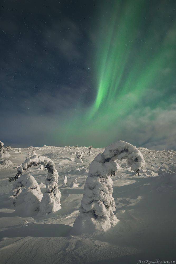 кандалакша, кольский полуостров, северное сияние, север, зимний пейзаж, ночное фото, Арсений Кашкаров
