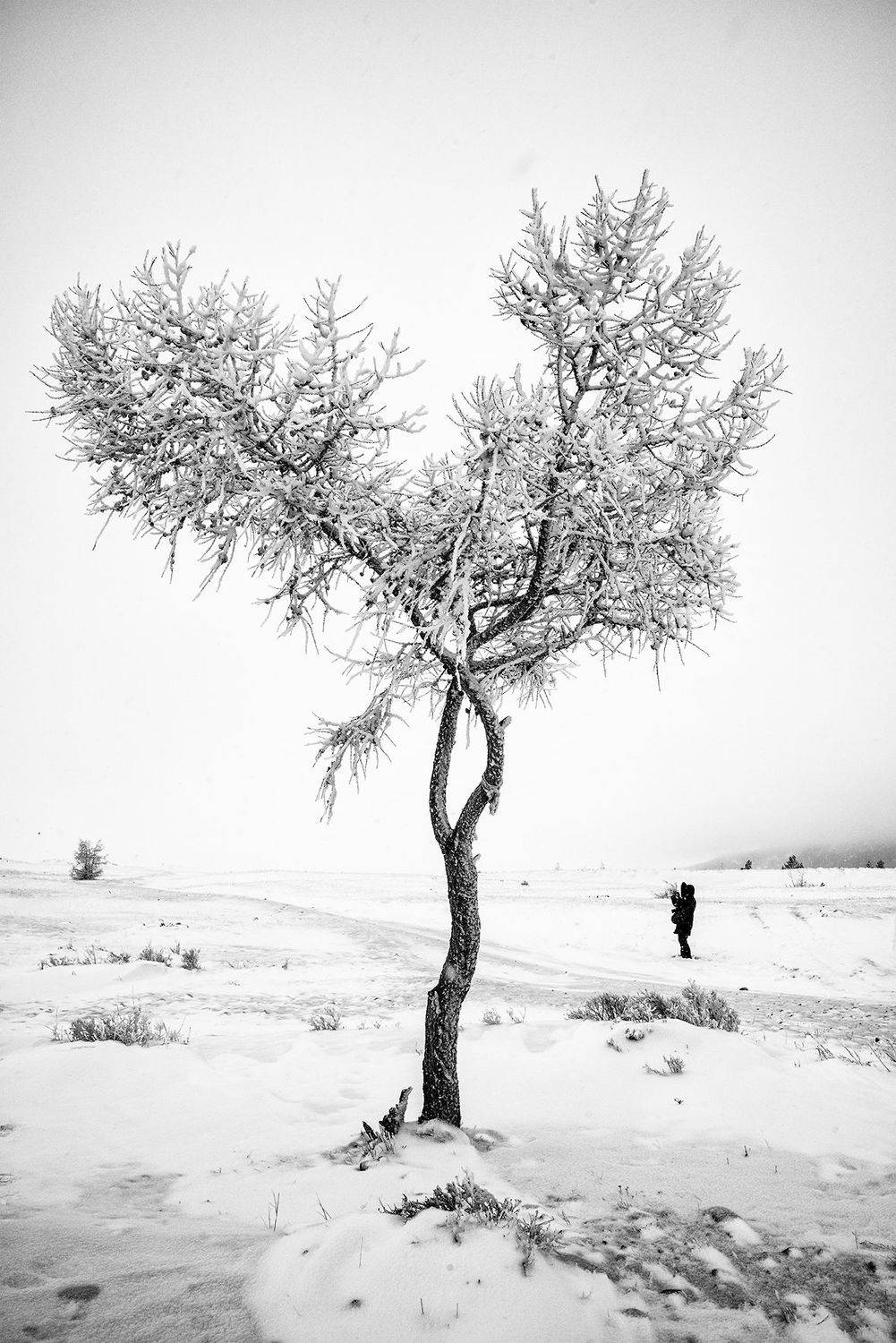 , Маргарита Фискина