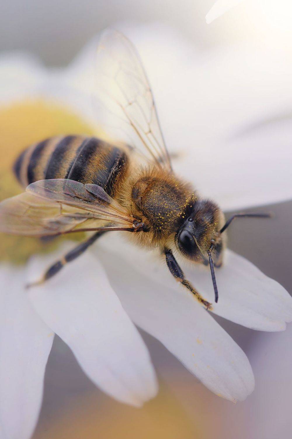 , Татьяна Винничук